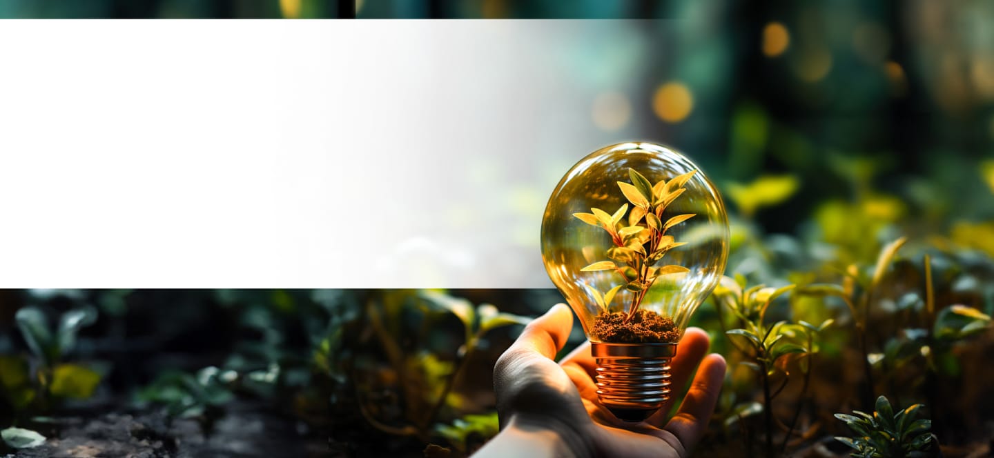 Imagine a world where KREEVA