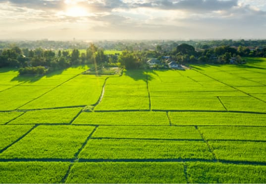 Kanodia Group Purchases 1.74 Acre Gurugram Land for INR 153 Crore